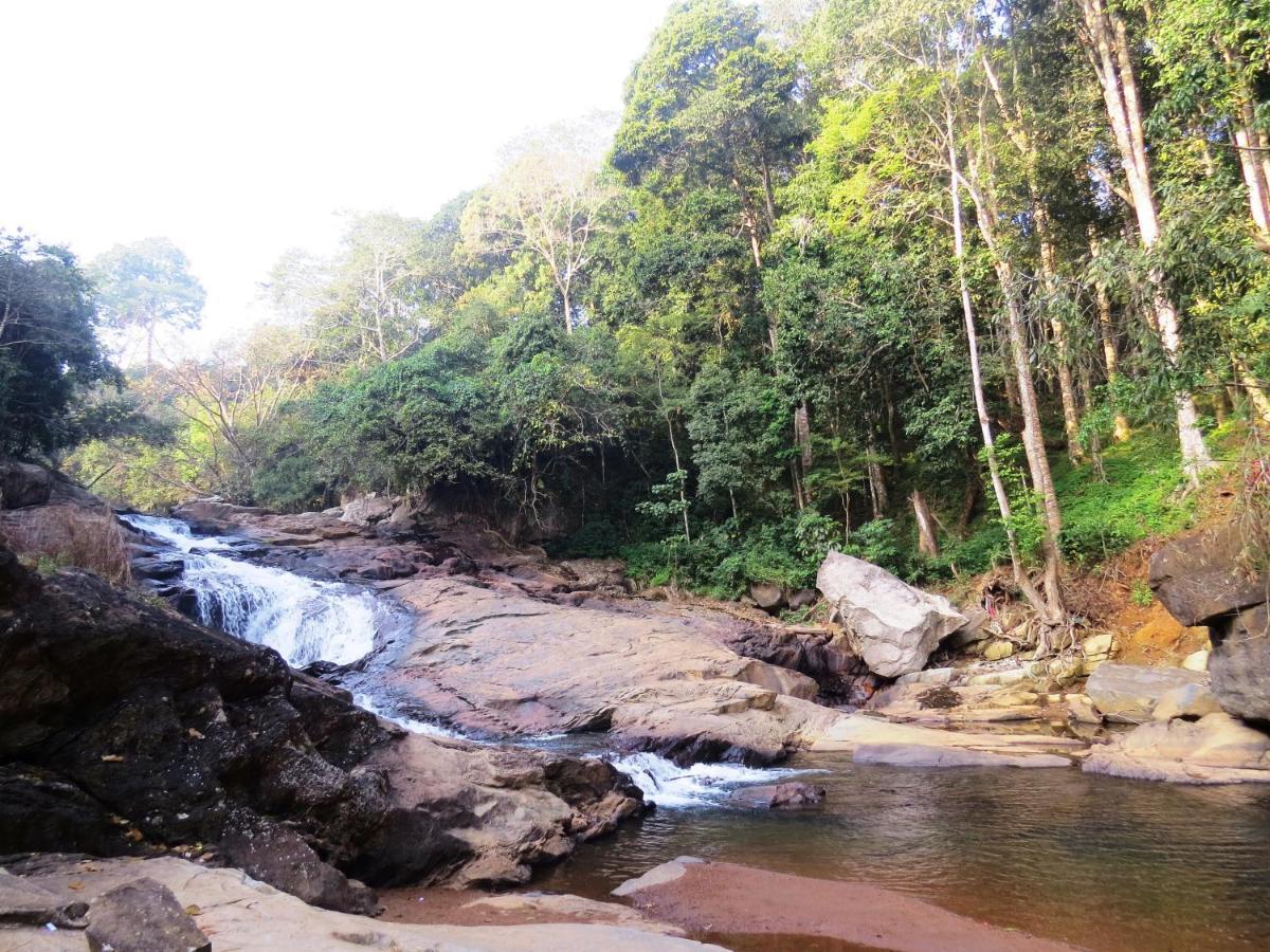 Villa Tesori Homestay Wayanad Meppādi Dış mekan fotoğraf